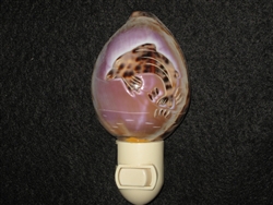 Carved Dolphin Tiger Cowry