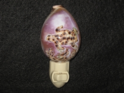 Carved Sea Turtle Tiger Cowry