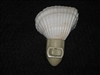 White Ark Shell  Night Light