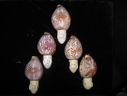 Carved Tiger Cowry