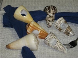 Assorted Cone Napkin Rings