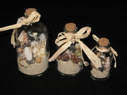 Shells in A Bottle