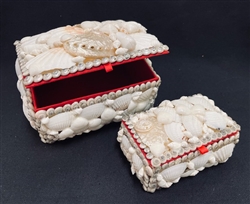 Shell Boxes Set of 2 White