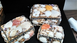 Shell Boxes, Set of 3