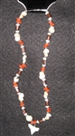 Umbonium Shell Necklace W/Shark Tooth