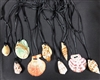 Assorted Shells On Cord Necklace