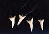 Faux Shark Tooth On Cord Necklace