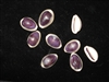 Ring Top Cowry Purple Top