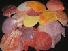 Pecten Nobilis Natural Colors Kilo