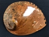 Midae Abalone Polished  Copper