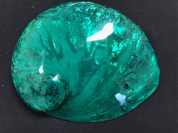 Midae Abalone Polished Green