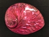 Midae Abalone Polished Pink