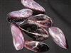 Polished Purple Mussel Pairs