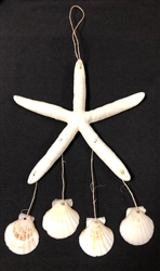 Starfish & Pecten Chime