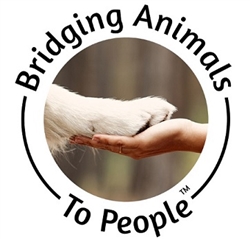 Bridging Animals to Peopleâ„¢<br> Carmel, CA<br>September 12, 2024</br>