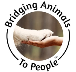 Bridging Animals to Peopleâ„¢<br> Denver, CO<br>March 6, 2025</br>