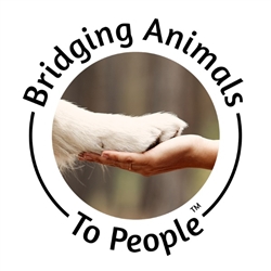 Bridging Animals to Peopleâ„¢<br> Netherlands<br>September 11, 2025</br>