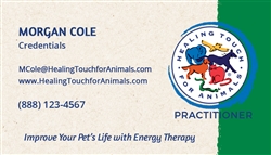 Practitioner Business Card Magnets