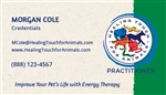 Practitioner Business Cards