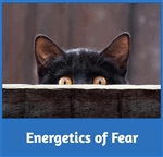 Energetics of Fear