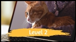 Level 2 Online Course (Group Learning Option)