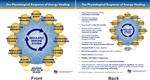 HTA Physiological Response Chart