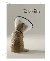Get Well Card - Dog in cone