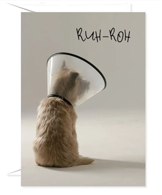 Get Well Card - Dog in cone