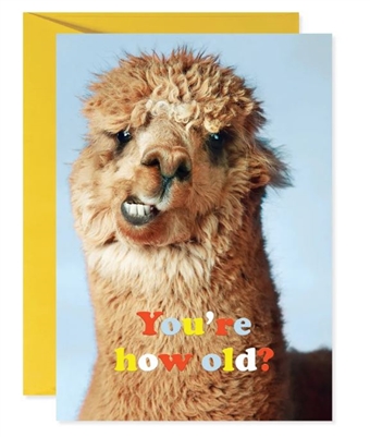 Birthday Card - Llama