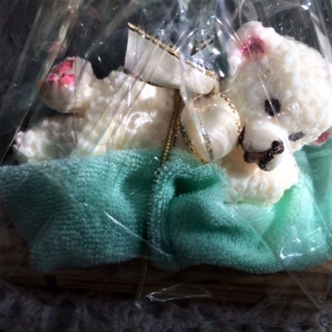 Teddy Bear Soap Gift Package