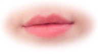 Tinted Lip Plumper & Conditioner- BARE ROSE