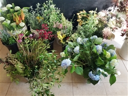 Organic Blooms and Farm Fresh Foliage