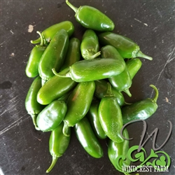 Pepper- Early-Jalapeno