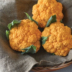 Cauliflower, Clementine