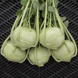 Kohlrabi, Korist