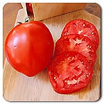 Certified Organic Tomato Plants Amish Paste