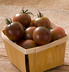 Certified Organic Tomato Plants Black Cherry