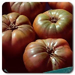 Certified Organic Tomato Plants Cherokee Purple