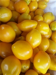 Certified Organic Tomato Plants Plum Lemon