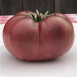 Certified Organic Tomato Plants Rosella Crimson Dwarf