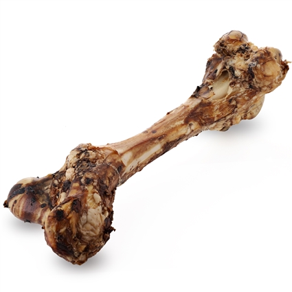 Monster Smoked Beef Femur Bones for Dogs, 1 ct