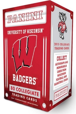 Wisconsin Badgers Fuzzy Dice