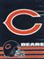 Chicago Bears Verticale Flag