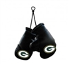 Green Bay Packers Mini Boxing Gloves