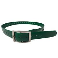 green dog collar strap