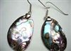 43170-2 Abalone Shell Earring w/925 Silver Hook
