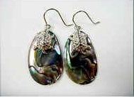 43203 Abalone Shell  w/925 silver Earring