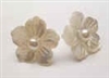 43286 MOP Flower w/925 silver Earring