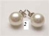 43288 MOP Shell w/925 silver Earring