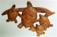 Wood Turtle Family Display